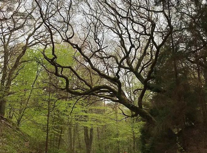 Miejsce Bez Nazwy بيت خشبي *